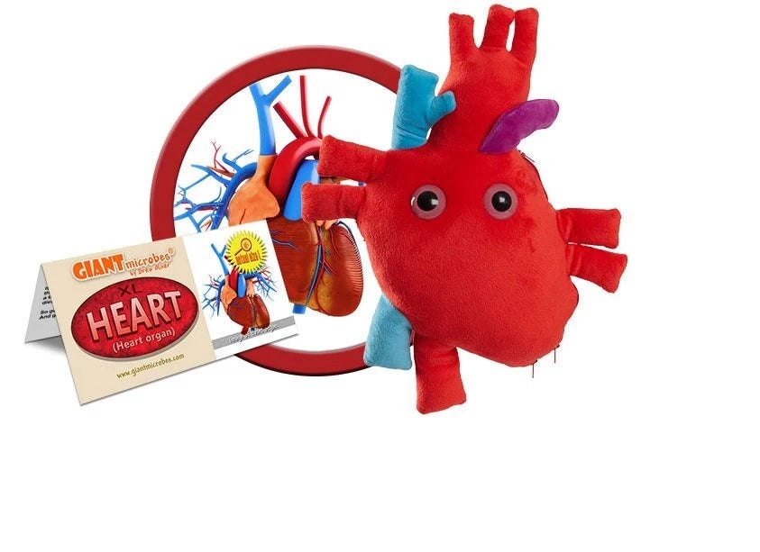 Mini best sale plush organs